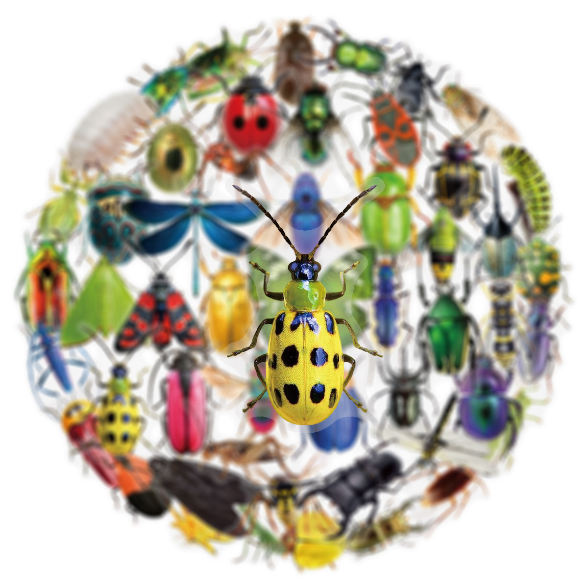 50Pcs Transparent PET Sticker  - Laptop Accessories Cool ulasan dan harga